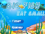 Big Fish Eat Small: Journey Around the World