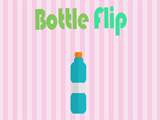 Bottle Flip Profi