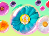 Fairy: Flower Balls