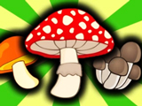 Mushroom Merge: Secrets of the Forest