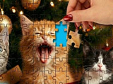 Kitty Kitty! Kitty-kitty-kitty! New Year's Puzzle