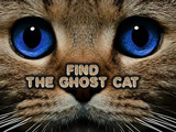 Find the Ghost Cat