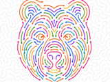 New Arrows: Untangle the Puzzle