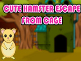 Cute Hamster Escape From Cage