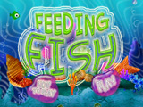 Feed Up Your Fish