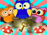 Crazy Owls