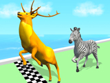 Animal Transformation: Race