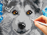 Cross Stitch Masters