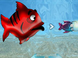 Angry Hungry Fish