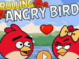 Rolling Angry Birds