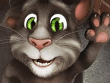 Talking Tom - Animation