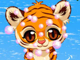 Pet Stars: Baby Tiger