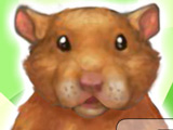 My Tiny Hamster
