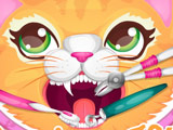 Precious Kitty Dentist